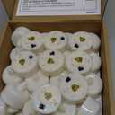 Raycare 100Pack Battery Operated Tea Lights Candles, Long Lasting Fake Candles, Flameless LED Tea Lights, Electric Candle for Wedding, Centerpieces, Home Decor, Halloween, Christmas (White)