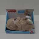 Fisher-Price Baby Toy Soothe 'n Snuggle Otter Portable Plush Sound Machine with Music Lights & Breathing Motion for Newborns 0+ Months (1 Count (Pack of 1))