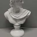 DOVDOV David Statue, Greek Decoration, Home Decoration Statue, Bust Sculpture for Home Decoration, Suitable for Living Room, Office, Shelf for Home Decoration David Statue