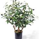 2ft Artificial Easter Olive Tree with Pot, Spring Tabletop Faux Plants Mini Trees for Home Office Living Room Modern Decor 16 Fruits (1ft 11in)
