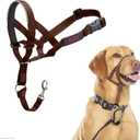 Halti Headcollar - Stop Your Dog Pulling on The Leash. Adjustable, Reflective and Lightweight, with Padded Nose Band. Dog Training Anti-Pull Collar for Medium Dogs (Size 3, Deep Walnut)