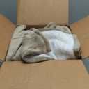 PAVILIA Melange Cream Sherpa Blanket Throw for Couch, Warm Soft Cozy Reversible Blanket Sofa Bed, Thick Plush Large Fleece Car Blanket, Decorative Home Room Decor Gifts Men Women, 50x60 Ivory Beige