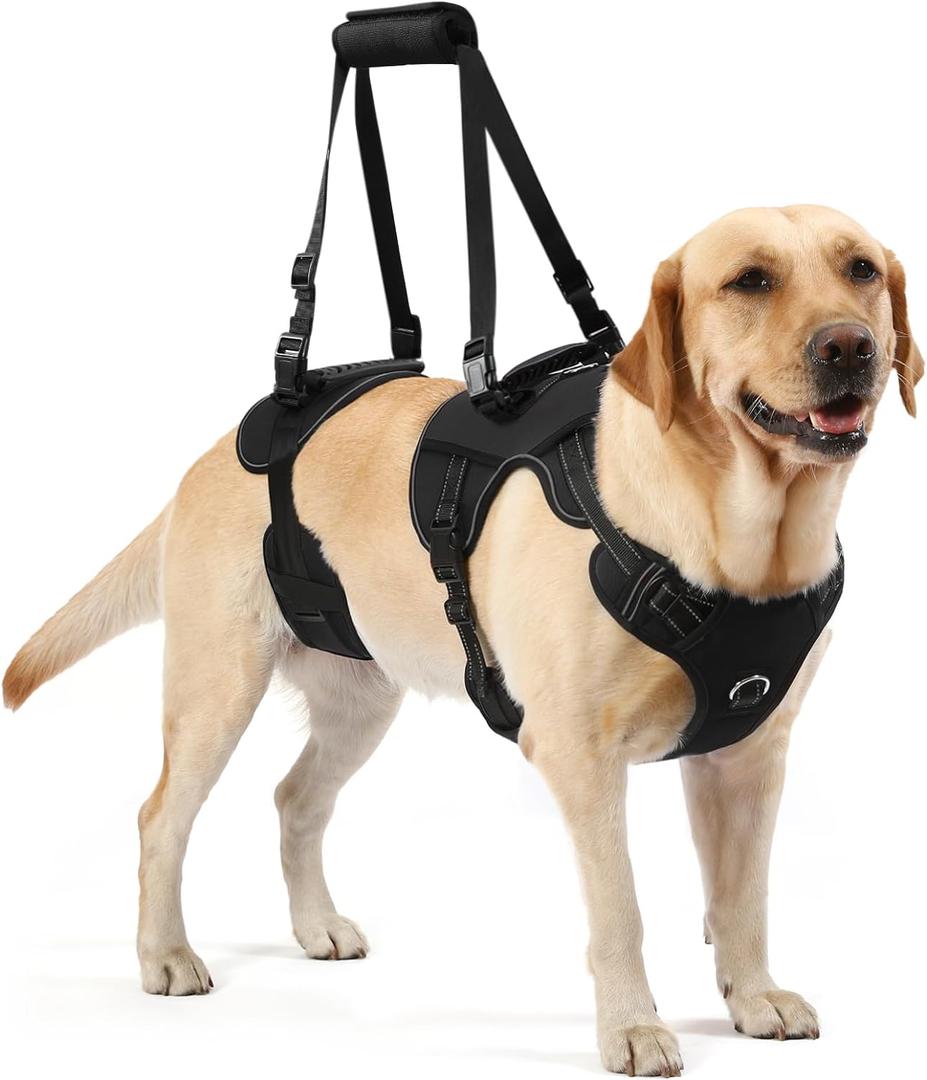 NOYAL Dog Lift Harness for Senior & Injured Pets  Full-Body Support Sling with Breathable Mesh, Front/Rear Leg Assist for Arthritis, Hip Dysplasia & Post-Surgery Recovery (Medium-Large Breeds) (Large, Black-1)