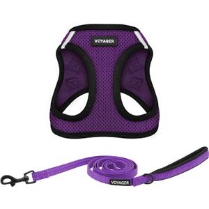 Voyager Step-in Air All Weather Mesh Harness and Reflective Dog 5 ft Leash Combo with Neoprene Handle, for Small, Medium and Large Breed Puppies by Best Pet Supplies - Purple/Black Trim, Medium (M (Chest: 16 - 18"))