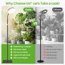 MistyJungle 20W Full Spectrum Grow Light for Indoor Plants, 63in Adjustable