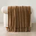EverGrace Soft Chenille Throw Blanket for Couch, Cozy Plush Fuzzy Decorative Chenille Knit Throw Blanket with Tassels, Lightweight Blanket and Throws for Bed Sofa Gift Home Decor, Warm Beige 60"x80"