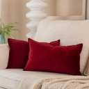 JUSPURBET 12x20 Pillow Covers Set of 2 Decorative Throw Pillow Covers Case for Couch Sofa Bed Soft Velvet Lumbar Cushion Covers with Hidden Zipper for Home Decor Living Room,Red Wine