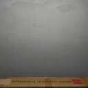 Best Choice Products 10x10ft 1-Person Setup Pop Up Canopy Tent Instant Portable Shelter w/ 1-Button Push, Case, 4 Weight Bags - Sage Green : Patio, Lawn & Garden