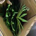 Artificial Tropical Palm Plant - 5 Ft Artificial Tree with Plastic Pot for Office and Home Decor, Tall Faux Plants for Indoors and Outdoors, Artificial Silk Palm Housewarming Gift,K150