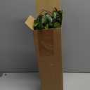 Giegxin 90 Pcs 3 Kinds Mixed Eucalyptus Leaves Stems Bulk Artificial Silver Dollar Leaves Picks Dried Eucalyptus Bundle Faux Spray for Wedding Vase Bouquet Floral Arrangement (Green)