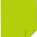 Neenah Astrobrights Premium Color Paper, 24 lb, 8.5 x 11 Inches, 500 Sheets, Terra Green (22581)