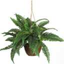 Nearly Natural 6599 18in. Boston Fern Artificial Plant in Hanging Basket, Green,29" x 29" x 18"