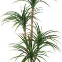 4 Ft Artificial Dracaena Tree, Realistic Fake Dracaena Plant, Tall Dracaena Houseplant for Indoor Dcor, Adjustable Lifelike Faux Tree, Ideal for Photo Backdrops, Nursery, Living Room, Office