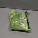 Tagitary Mesh Beach Bag with Zipper Large Beach Tote Waterproof Sandproof with 8 Pockets for Toys Pool Bag Beach Accessories (Green)