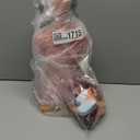 EVOTECH SCIENTIFIC 2025 New Human Body Deluxe Musculature Model, 16 Pcs Removable 17 inch Human Torso Anatomy Model with Heart Head Skull Brain Skeleton Model for Medical Student, Lab & Classroom Use