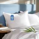 Sylvaris Hypoallergenic Bamboo Viscose Extra Soft Pillows with Down Alternative Filling, Queen Size Set of 2, Breathable Luxury Hotel Quality for All Sleeper, Oeko-Tex Certified,Machine Washable