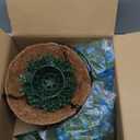 BCBLF Artificial Hanging Flowers Basket, 12 UVResistant Bundles of Realistic Fake Flowers, Faux Plants for Outdoor Decor, Home, Garden, Porch, Patio, Spring & Summer Decorations, Blue