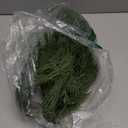 Hananona 40 Pcs Artificial Cedar Picks Faux Cedar Branches Fake Cypress Stems Plastic Pine Greenery Christmas Picks and Sprays DIY Accessories for Crafts Wreath Holiday Home Decor (40, Green)