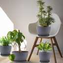 Plant Pots- 8.5/7.5/6.5/6 Inches 4 Pack Plastic Plant Pots,Indoor Decor Flower Pots with Drainage Holes and Tray,Home Decor Planters for Indoor Plants Cactus, Succulents Pot(Gray)