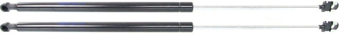 Ren Tsui 1 Pair Trunk Lid Lift Supports Left Driver Right Passenger Side Damper for Lexus IS F 5.0L 2008-2014|Lexus IS250 2.5L 2006-2014|Lexus IS350 3.5L 2006-2014 13199517 6453053014 RXC0016