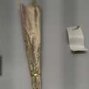 Bpole 2-in-1 Pampas Grass Decor - 100pcs Dried Pampas Grass with Natural Feathers Boho Flowers Arrangement for Vase,Home Wedding Party Centerpiece and Rustic Farmhouse Decor