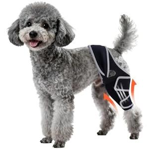 Yinchogee Dog Knee Brace for Torn ACL Hind Leg, Four-Leg Universal Rear Leg Braces for Dogs with Arthritis, ACL Injuries, Adjustable Breathable Reflective Support for Senior Dogs, S