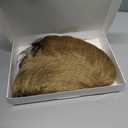 Mens Blonde Wig Short Straight Synthetic Blonde Hair Wigs for Male Guy Daily Wear Anime Costume Halloween Cosplay Party(Fit 21inch-22.5inch Head Circumference)