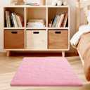 Pink Rug for Bedroom, 3x5 Fluffy Area Rugs for Living Room, Small Fuzzy Shag Soft Non-Slip Carpet for Kids Girls and Boys Nursery Dorm Indoor Room Home Decor (3ft X 5ft, Pink)