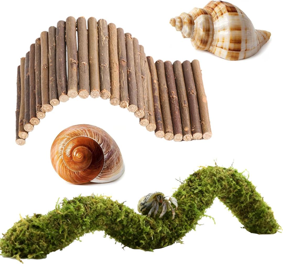 Hermit Crab Accessories, Hermit Crab Shells Natural Adjustable Climbing Toys Bendable Bridge, Plants for Reptiles & Amphibians Supplies (A-Group-4PCS)