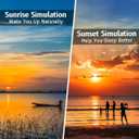 Wake Up Light Sunrise Alarm Clock with Sunrise Sunset Simulation 23 Nature Sleep Sounds 13 Colors Night Light Dual Alarms Snooze Function Sleep Aid for Heavy Sleepers Kids Adults (Black)