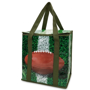 Insulated Cooler Bag, 13 x 11.5 x 7 Inches