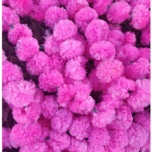 Marigold Garland for Decoration 5 feet Long Strands Artificial Marigold Flowers, Indian Decor for Diwali Decoration, Wedding Christmas, Events(Set of 5pcs) (Pink, 5 Feet Long)