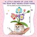 2 x Tiny Detalles Birthday Gift for Mom from Daughter Son - Mini Orchid Crochet Pot Gift for Mom Grandma, Cute Crochet Flower for Desk Decor, Valentines Easter for Bonus Step Mama