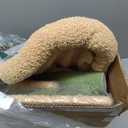 PETEPELA Cactus Cat Tree for Indoor Cats, 32'' Small Cat Tower Cat Condo with Sisal Scratching Ramp, Cozy Hammock and Removable Top Bed Perch for Kittens, Green