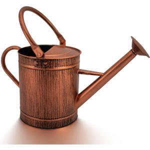 1 Gallon Watering Can, Copper Watering Can, Metal Water Can with Removable Spout, Perfect Plant Water Can for Indoor and Outdoor