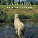 Deep Creek: Finding Hope in the High Country