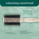EcoTools Better Brush Volumizing Round Brush, 1 Count