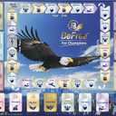 BeFree for Champions  Financial Literacy Board Game for Adults & Teens (14+), Money & Risk Management, Investing & Cash Flow, Achieve Life Goals | Fun Strategy Family Game