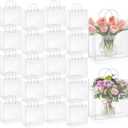 LEIFIDE 50pcs Clear Plastic Gift Bags with Handles PVC Reusable Transparent Totes Bags for Goodie Candy School Birthday Party(11.8 x 11.8 x 3.9 Inch)