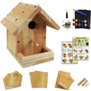 DIY Birdhouse Kit with Paint Set - Kids' Wood Craft Kits - Make a Bird House Kit for Kids - DIY Woodcraft Building Projects for Kids and Adults- STEM Teaching Tools