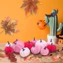 21 PCS Pink Pumpkins Set for Thanksgiving Decor, 3 Sizes Fake Velvet Pumpkin Mini Foam Pumpkin for Thanksgiving Farmhouse Fall Harvest Decorations Halloween Party Autumn Table Centerpiece