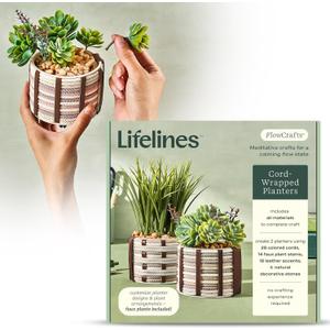 Lifelines FlowCrafts, Cord-Wrapped Planters - Create 2 Unique Planters with Cords in Multi-Colors, Leather Accents, Faux Plant Stems & Decorative Stones - Sensory Arts & Crafts Kit for Teens & Adults