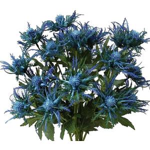Fermus 5 Stems Artificial Thistle Flowers 5 Branch Real Touch Blue Thistle Decor 26 Inch Real Size Rustic Spray Eryngium Sea Holly for Wedding Bouquet Centerpiece (5 Branch)