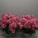 QIANYUN Artificial Topiary for Outdoors- 20 Potted Plant Fake Geraniums Bush-UV Resistant Artificial Outdoor Plant for Front Porch, Garden, Yard, Patio Decor (Dark Pink)
