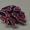 Besimple Aquarium Coral Ornaments Decor Fish Tank Plants Decoration for Aquarium Landscape,Purple