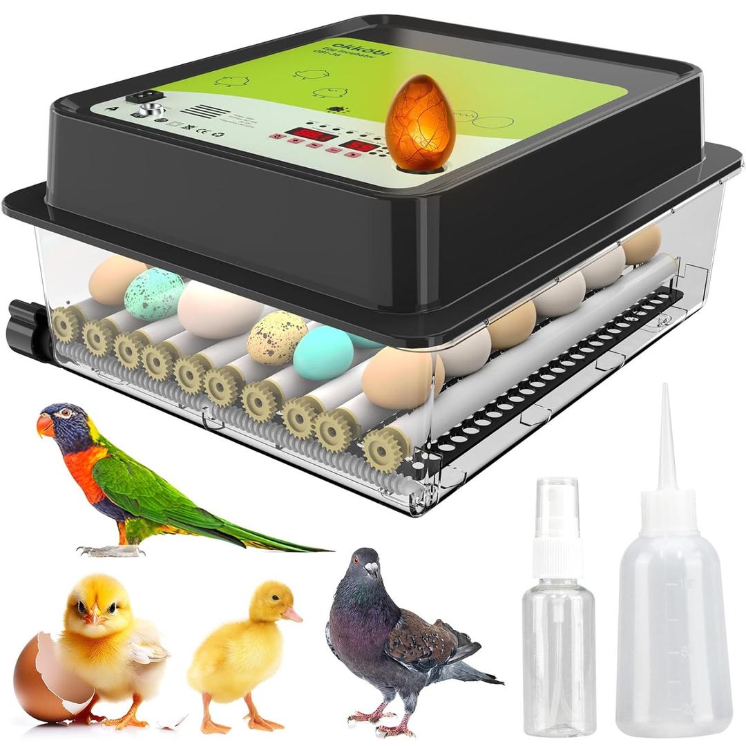 OBI-36 Incubator for Hatching Eggs  36 Eggs, Easy to Use, Stable Temperature & Humidity Control with Eggloo Insulation - Green