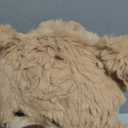 10inch Teddy Bear Stuffed Animal, Soft Teddy Bear Plushie Toys, Birthday Christmas Valentine's Day Gifts for Kid Boys Girls (Brown)