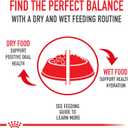 Royal Canin Feline Health Nutrition Adult Instinctive Adult Thin Slices in Gravy Cat Food, 3 oz (Pack of 24)