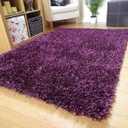 Soft Shaggy Carpet for Living Room/Bed Room, 24x70, Purple 