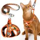 PetThem Upgraded Cat Harness and Leash Set - Step-in Escape Proof Adjustable Cat Harness, Comfortable Soft Lightweight, Reflective Harness for Walking, Travel, Camping (King of The Jungle, S)